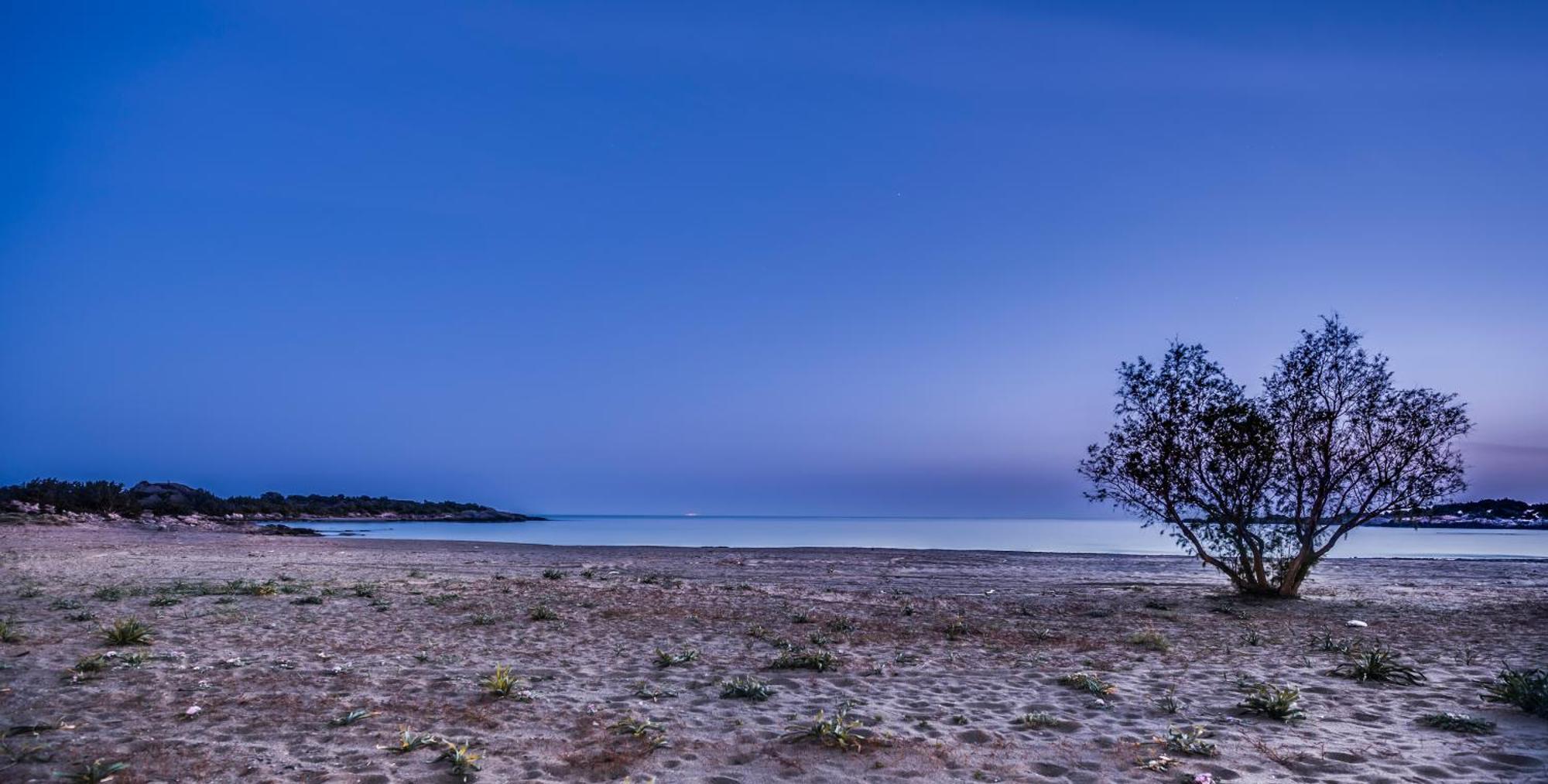 Cedar Bay Beachside Villas Paleochora Buitenkant foto